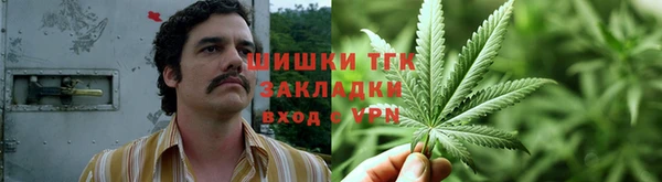 spice Верхний Тагил